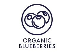 Blueberry Detox Icon