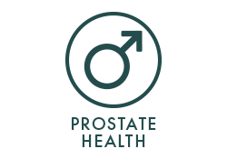 Clinical Prostate Icon