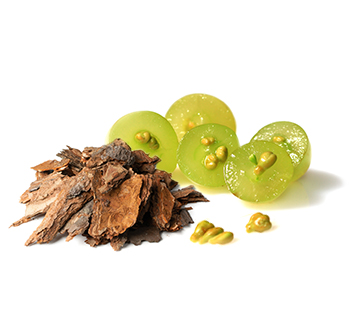 Green Tea CR Grape Seed and Pine Bark