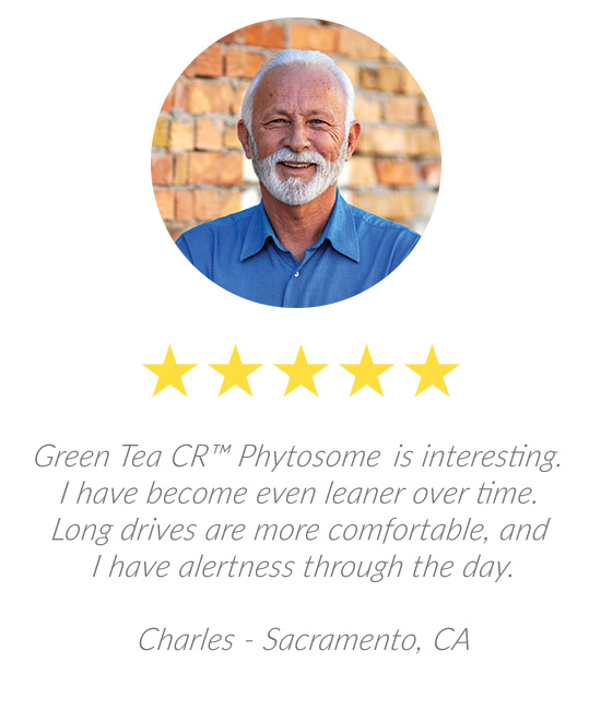 Green Tea Phyto Review