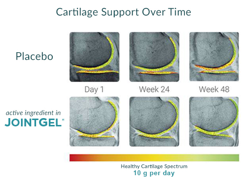 JointGel Cartilage Regeneration