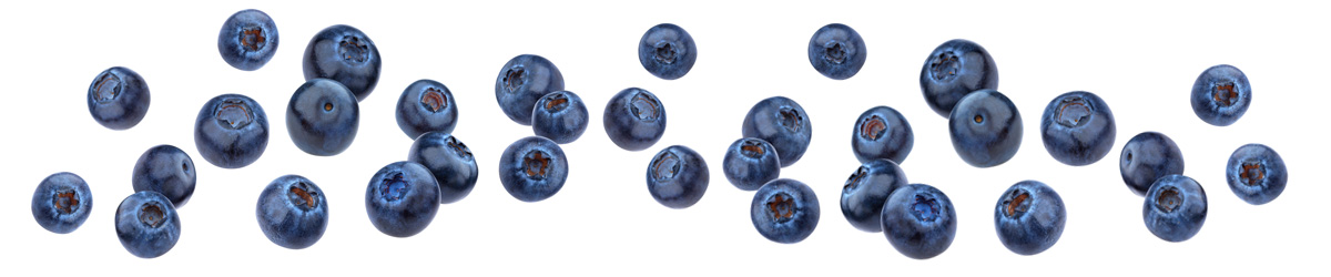 MagBlue Super Boost Blueberries