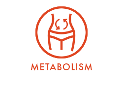 Perfect Multi Metabolic Multi Icon