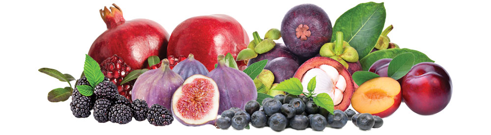 Perfect Purples Fruits